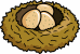 Birds nest with eggs