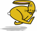 Running rabbit